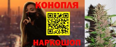 сатива Моздок