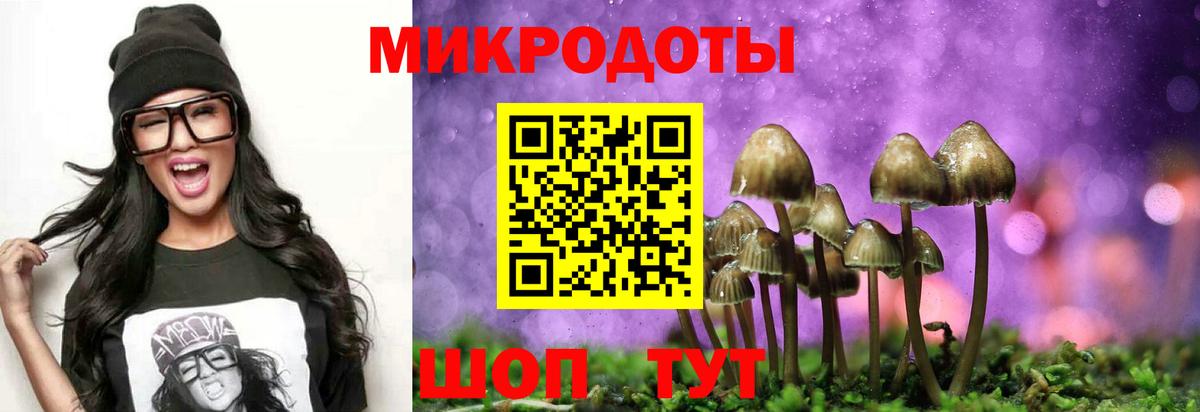 Галлюциногенные грибы GOLDEN TEACHER Углич